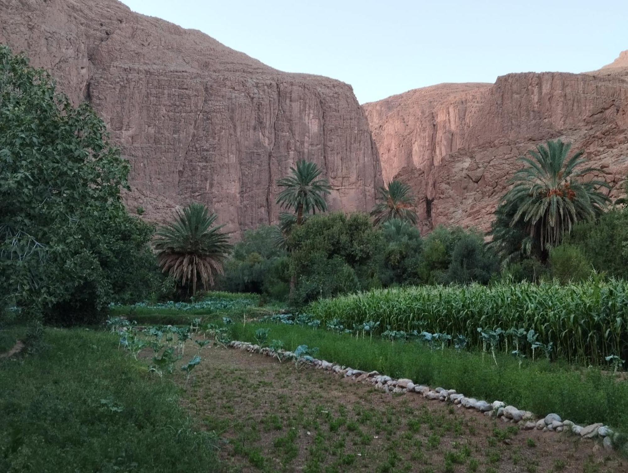 Riad La Fleur Aït Baha 外观 照片