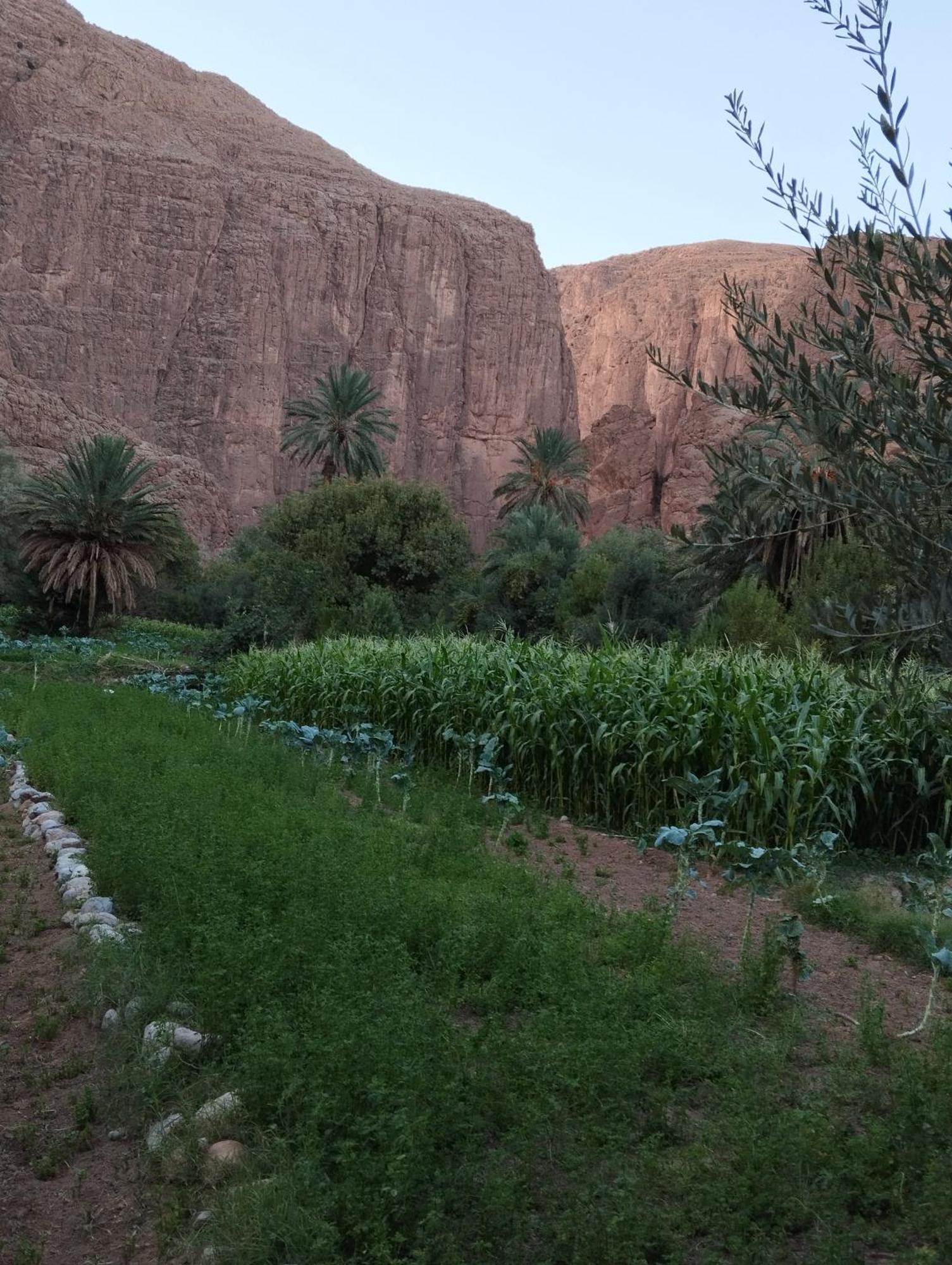 Riad La Fleur Aït Baha 外观 照片